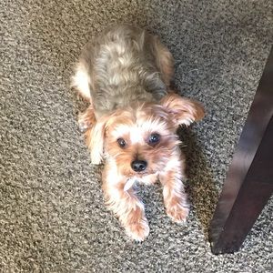 Meet your Posher, Mandy