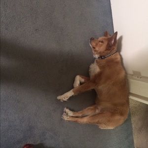 Meet your Posher, Mallory