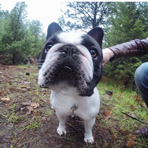 ❤️Meet The Posher❤️ (& her dog)..ok mostly her dog - Picture 3 of 4