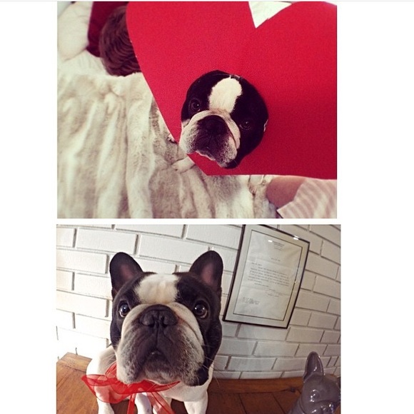 ❤️Meet The Posher❤️ (& her dog)..ok mostly her dog - Picture 4 of 4