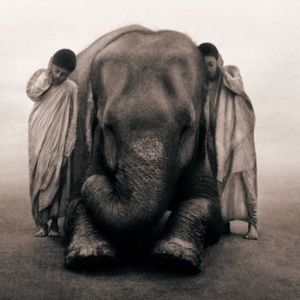 Meet your Posher, Esbeidi