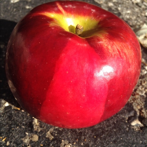 Meet your Posher, Jo - Picture 1 of 1