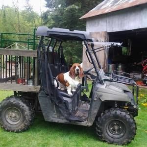 Meet your Posher, Abbie