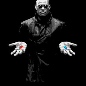 Meet your Posher, Ancilla