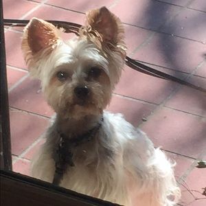 Meet your Posher, Donna