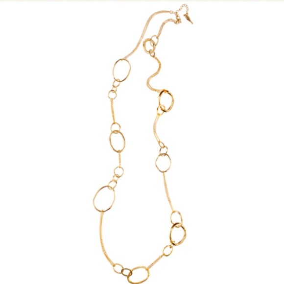 🆕Chloe + Isabel Long Organic Link Chain Necklace