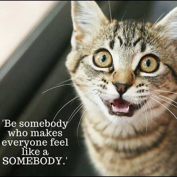 What to expect from your 5⭐️ Posh Ambassador! - Picture 2 of 7