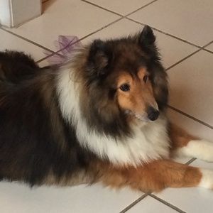 Meet your Posher, Karen