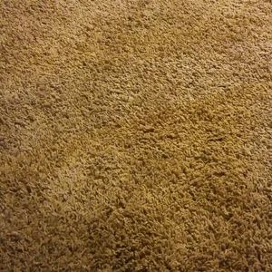 Meet your Posher, Dan