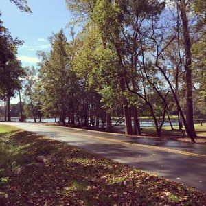 Meet your Posher, Roger