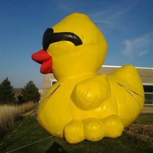 Meet your Posher, Johnelle