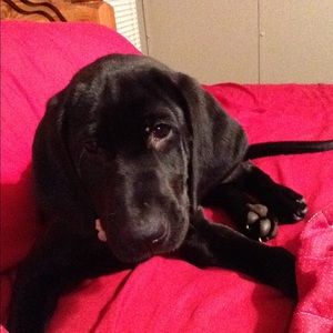 Meet your Posher, Catherine