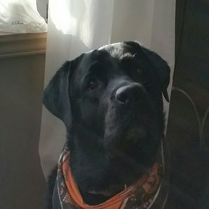 Meet your Posher, Beverly