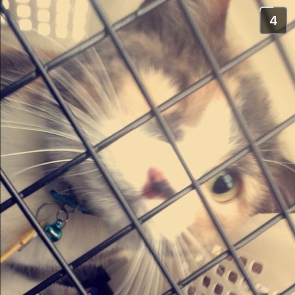 Meet your Posher, Susannah