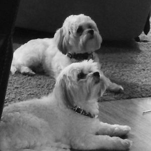 Meet your Posher, Wendy