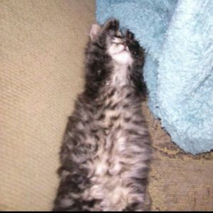 Meet your Posher, Heather