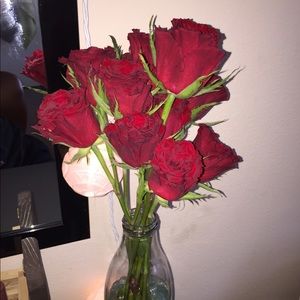 Meet your Posher, Edith