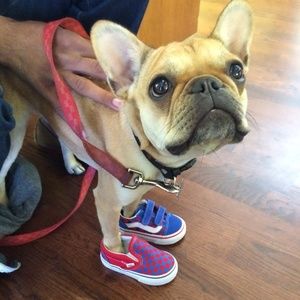 Meet your Posher, Nancy