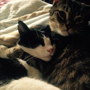 Meet your Posher, Carolyn