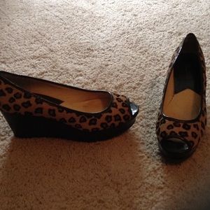 MK platform peep tow