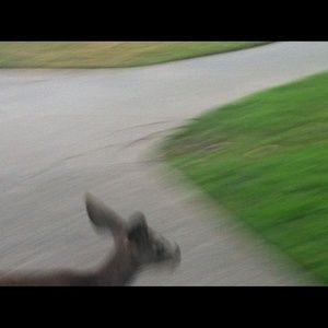 Meet your Posher, Anouk