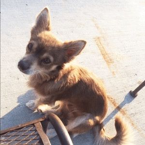 Meet your Posher, Gaby