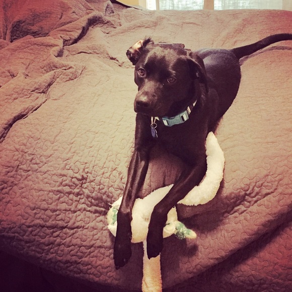 Meet your Posher, Andrea - Picture 5 of 5