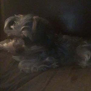 Meet your Posher, Kimbra