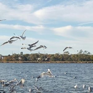 Meet your Posher, Sindy