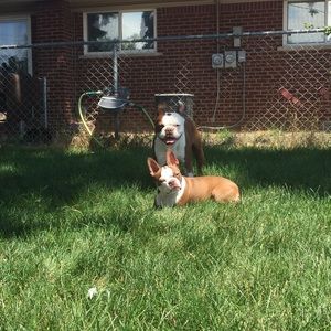 Meet your Posher, Marissa