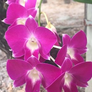 Meet your Posher, Justine