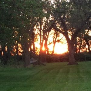 Meet your Posher, Alison