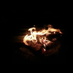 Meet your Posher, Bridgett