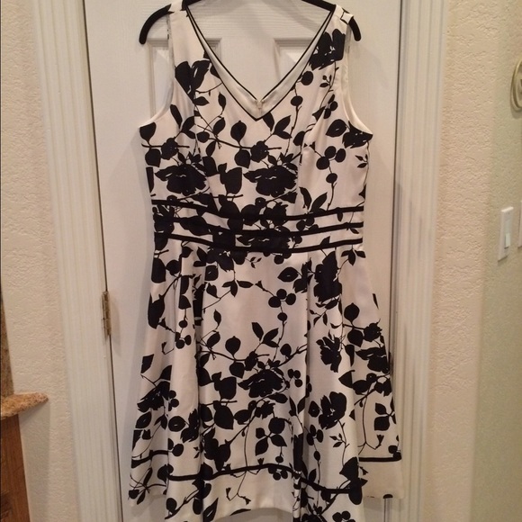 DressBarn Dress NWT
