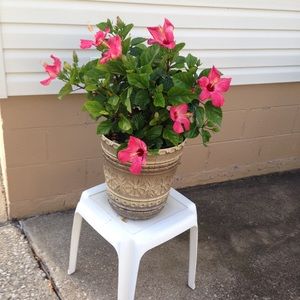 Meet your Posher, Patricia