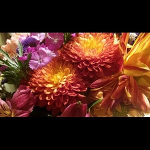 Meet your Posher, Cheryl