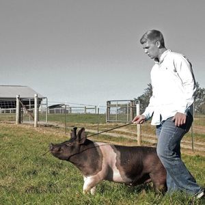 Meet your Posher, Hunter