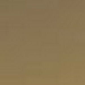 Meet your Posher, Elisa