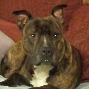 Meet your Posher, Cody