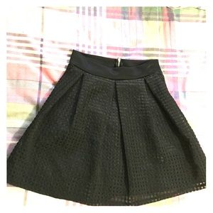 Flared Skirt
