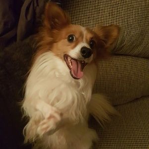 Meet your Posher, Jaclin