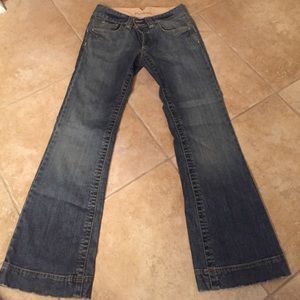 Banana Republic Stretch Flare Jeans
