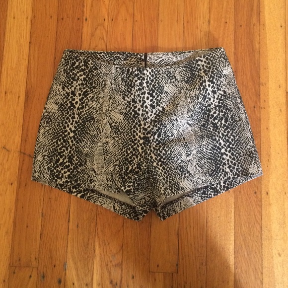Animal print hot pants