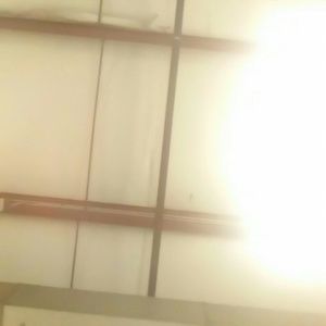 Meet your Posher, Latisha