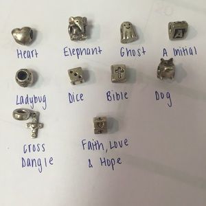 Pandora charms