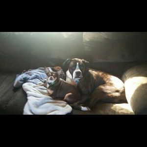 Meet your Posher, Brittany