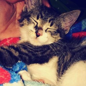 Meet your Posher, Hayley