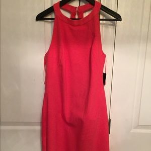 Zara Coral halter  backless dress very sexy