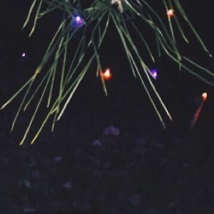 Meet your Posher, Rose