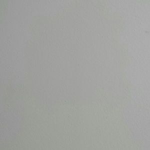 Meet your Posher, Yaneli